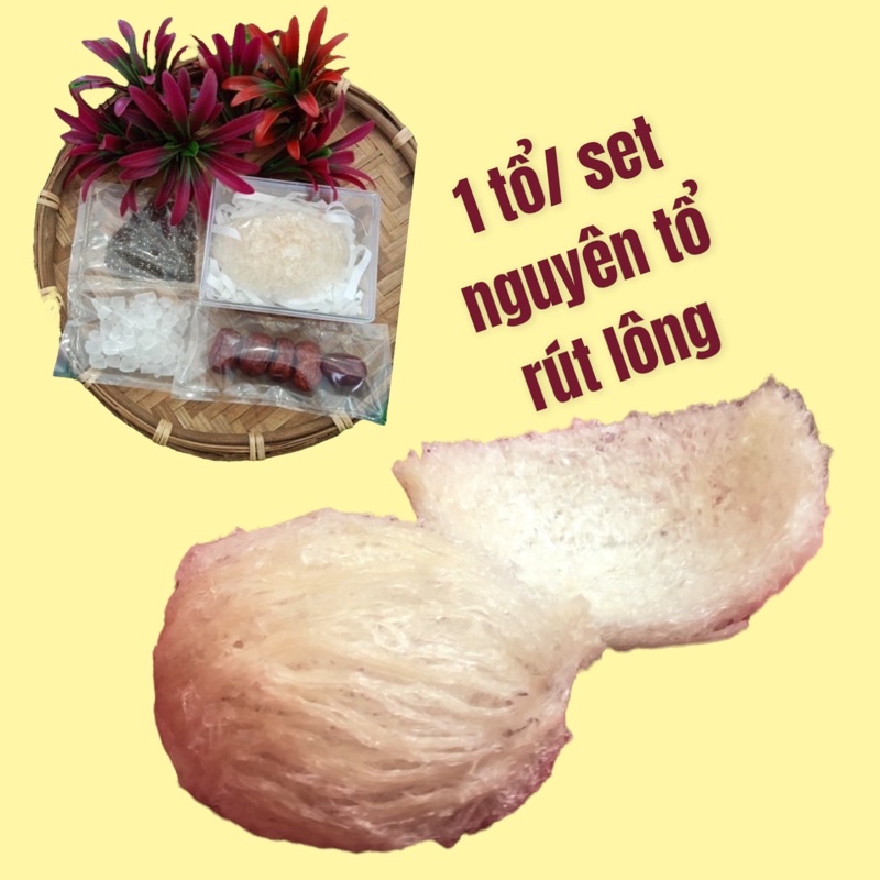 Tổ yến sào Khánh Hoà ⚡ GIÁ TỐT NHẤT ⚡ Tổ yến rút lông nguyên chất giúp chống lão hóa, cải thiện cấu trúc da