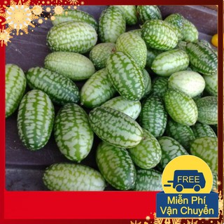 Hạt Giống Dưa Hấu Mini