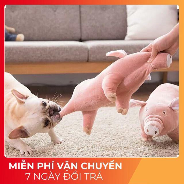 Mẹ mua cho con heo đất, mẹ mua cho con heo đất í o í o 🐷🐷🐷 [Hot]