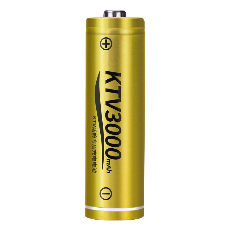 Pin sạc AA 3000mAh (vàng) chính hãng Doublepow - Pin dung lượng cao chuyên dùng cho Micro KTV, cửa ra vào, đồng hồ
