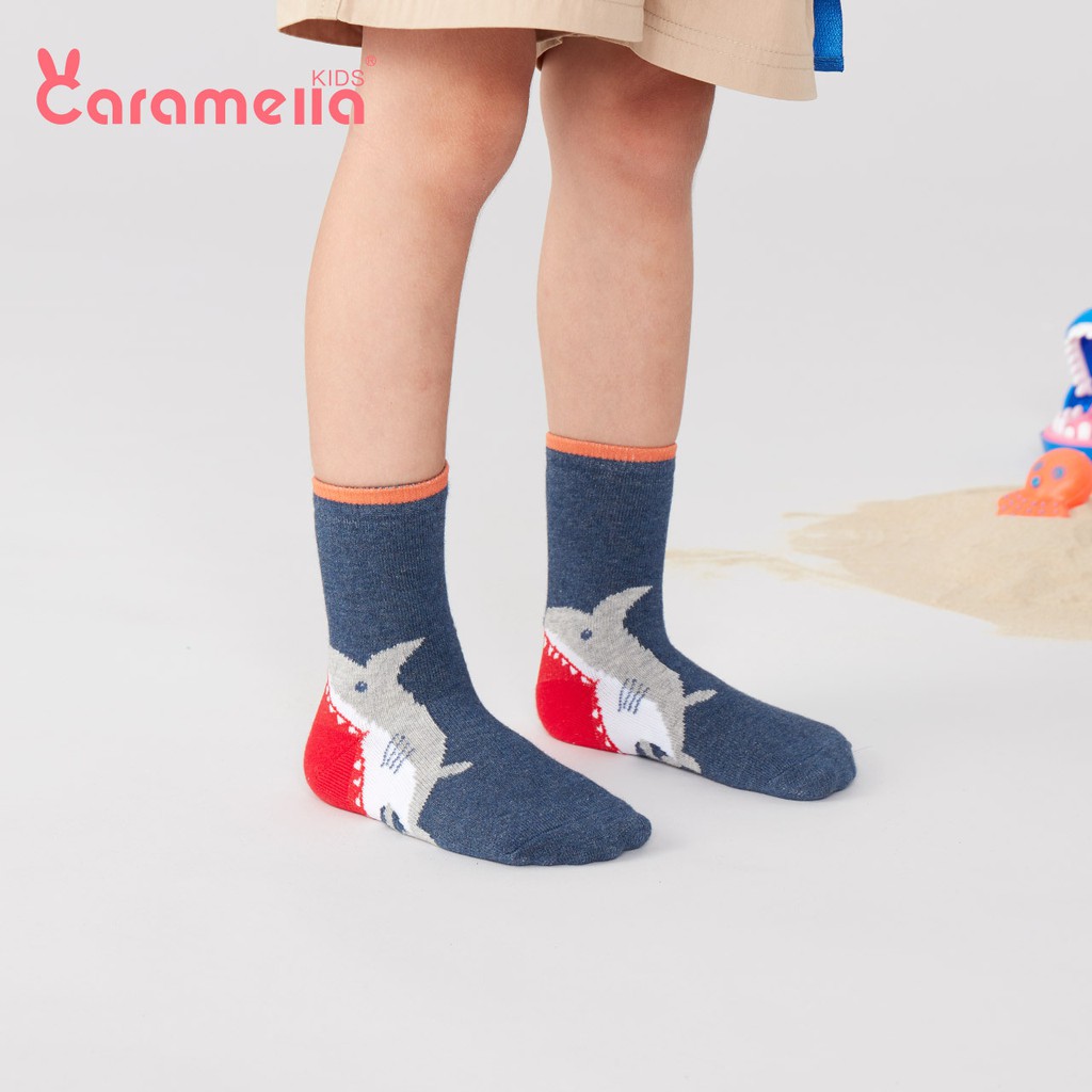 Tất trẻ em Caramella dành cho bé trai cotton, set 3 đôi vớ trẻ em thêu hoạt hình cá mập năng động kèm túi đựng