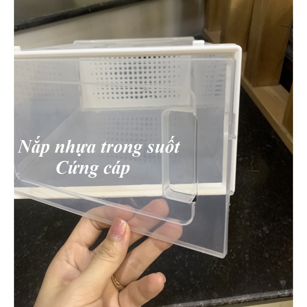 Combo 6 Hộp Đựng Giày Nhựa Cứng Trong Suốt (Cả Thân Và Nắp Bằng Nhựa Cứng) Chịu Lực 6Kg Nắp Ngang - Tặng Gói Hút Ẩm