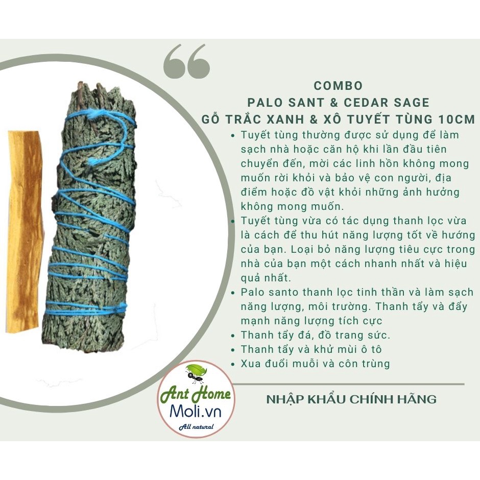 Combo 1 bó tuyết tùng 10cm và 1 thanh palo santo trắc xanh 10cm 5gr (Combo05)