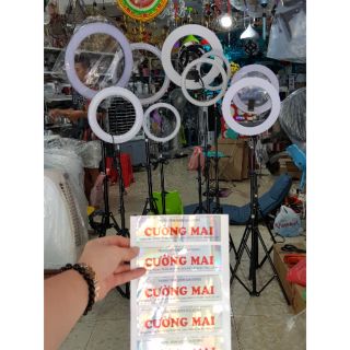 Đèn livestream