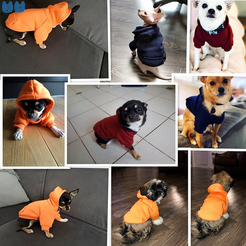 Áo Khoác Giữ Ấm Size Lớn Cho Thú Cưng chihuahua 45