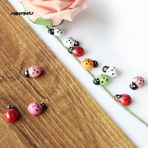 Bộ 100 con bọ rùa mini nhiều màu sắc trang trí nhà cửa