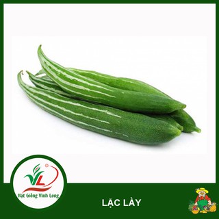 Hạt giống Lặc lày RD 248 - 5 hạt