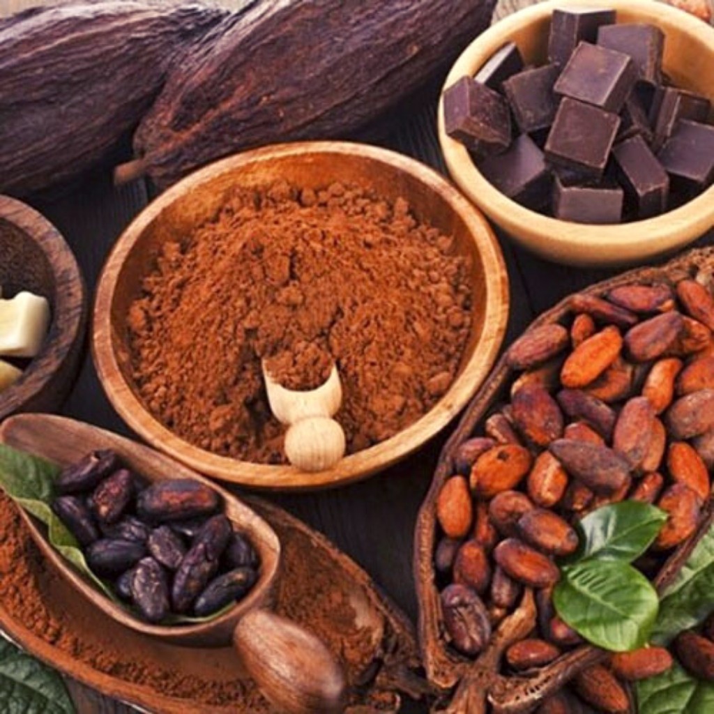 Bột Cacao nguyên chất daklak không đường