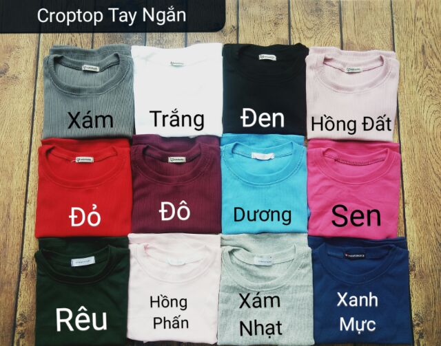 Áo Croptop Tay NGẮN (kèm ảnh thật, video) - CHTNN