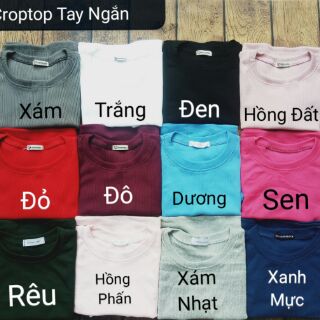 Áo Croptop Trơn (kèm ảnh thật, video)