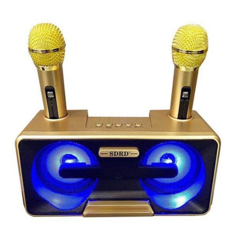 Loa hát karaoke SD 301 tặng kèm 2 mic xinh.