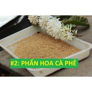 Phấn Hoa Cà Phê Phấn Ong