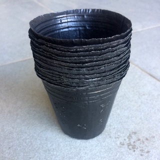 100 Cái Bầu Ươm Cây kích thước 15x13cm