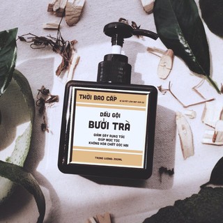 Dầu gội thảo mộc Bưởi Trà