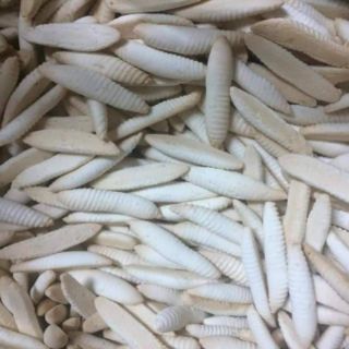 Bánh đuôn sữa 500g