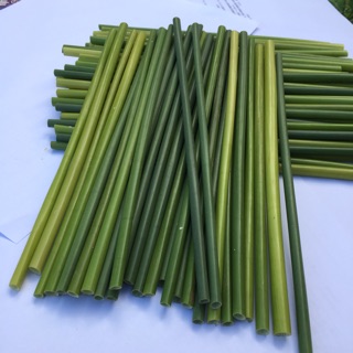 Ống hút cỏ tươi (50 cái)