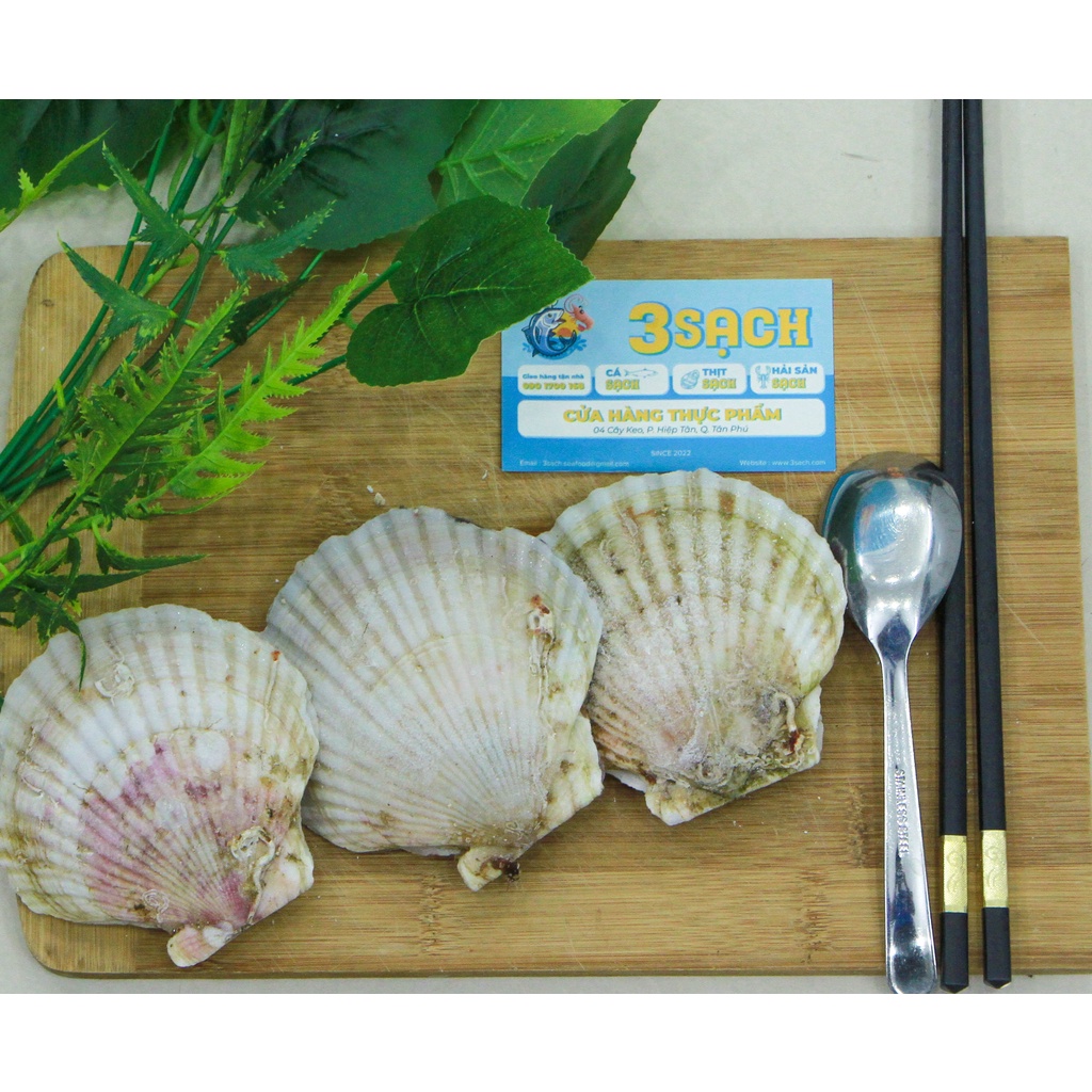 1KG Sò Điệp Nhật Loại To  Thực Phẩm 3 Sạch