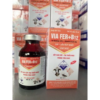 Sắt cho heo con via fer + b12 . sắt cho lợn 3 ngày tuổi phòng thiếu máu, tiêu chảy....
