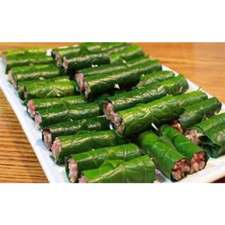 cây giống lá lốt
