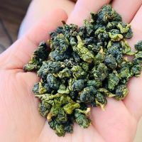 TRUNG TÂM TRÀ MTEA