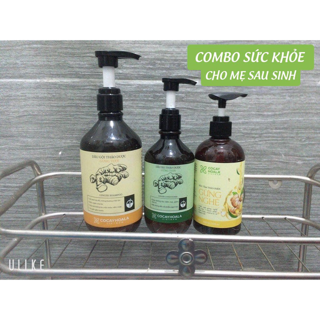 Phục hồi cho mẹ sau sinh - Combo Sữa tắm Gừng, Dầu gội Gừng tươi làm ấm cơ thể, chống cảm lạnh, ngăn rụng tóc COCAYHOALA