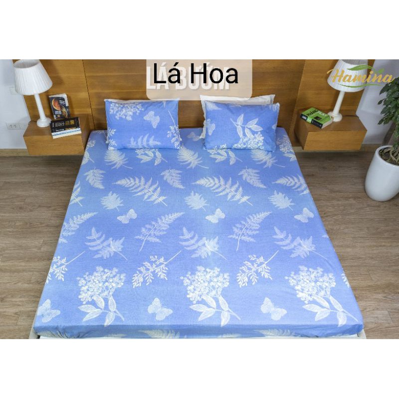 Ga chống thấm M8 (Hamina )