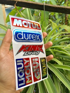 Tem logo si crom king drag motul durex