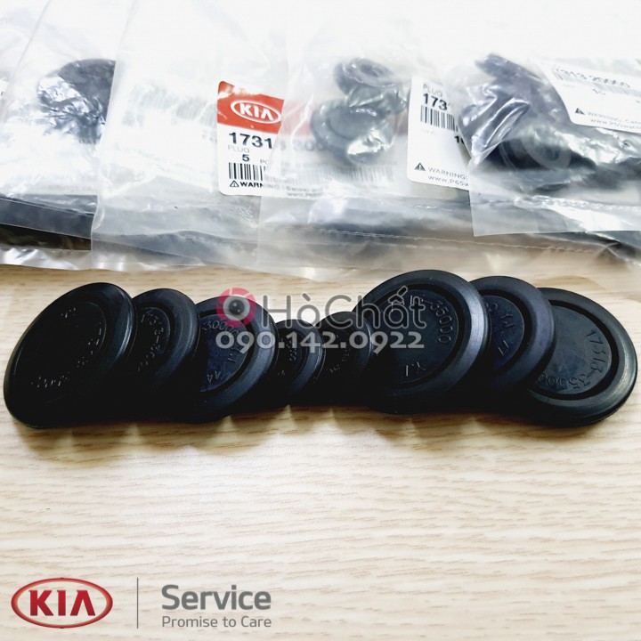 Cao Su Hốc Lốp KIA MORNING, Nhận Sàn Xe, Hốc Bánh Xe 🚘 KIA MOTORS nhập khẩu Hàn Quốc