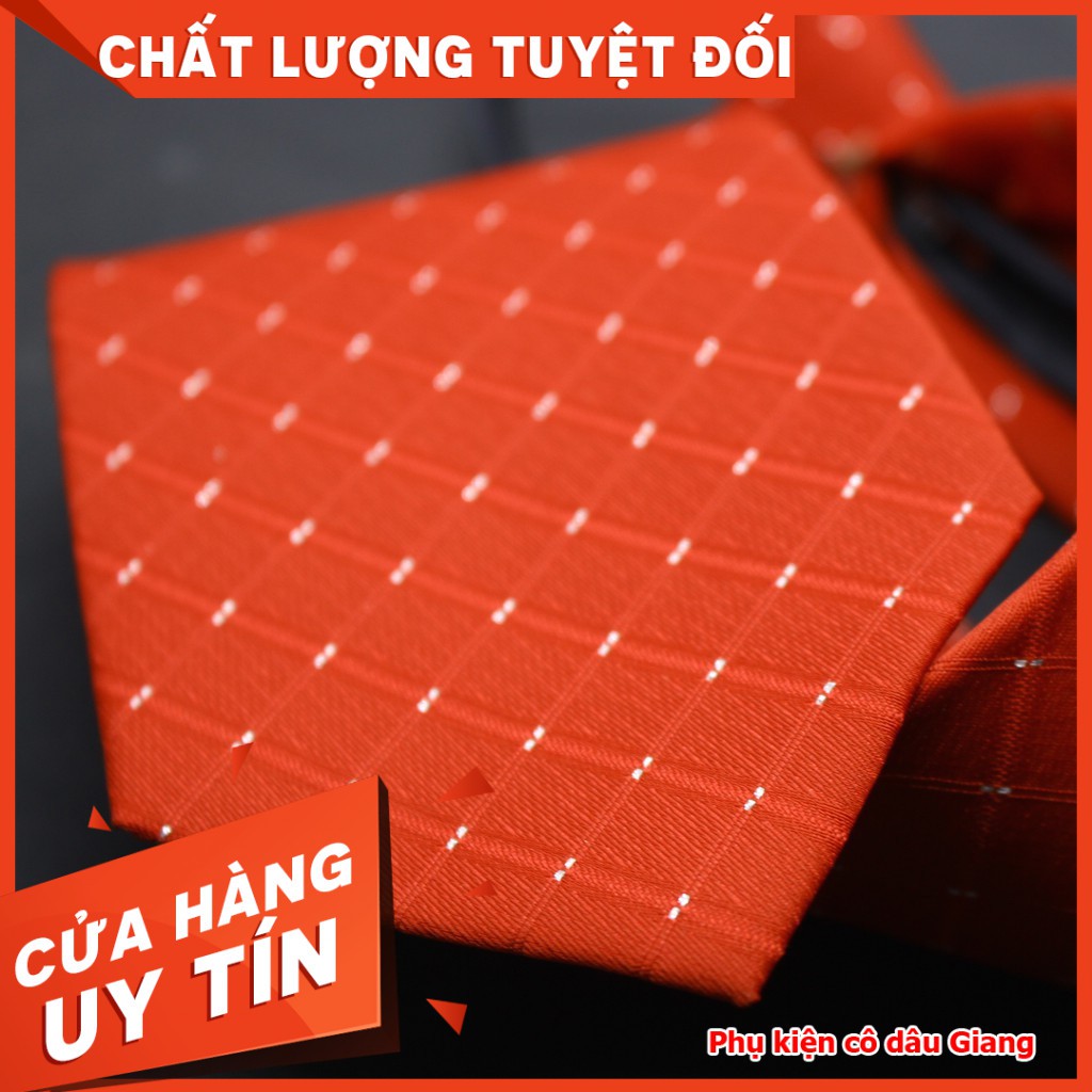 Cà vạt nam kẻ dây kéo thắt sẵn bản 8cm trung niên hàng TP HCM sản xuất mã BA005