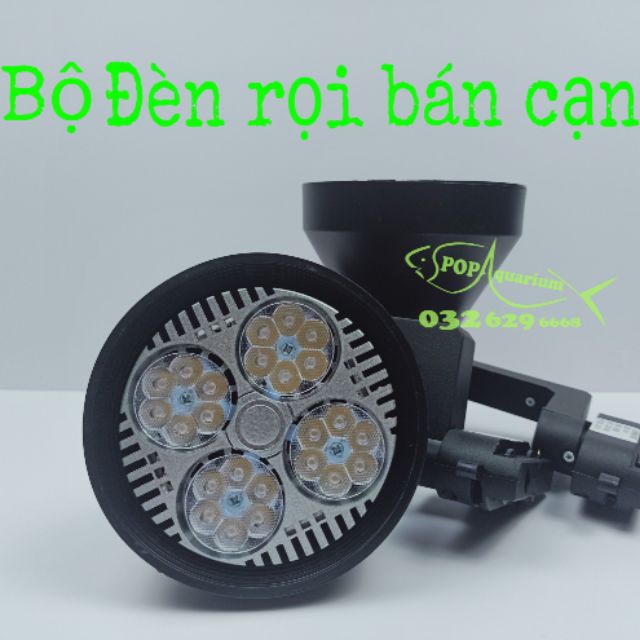 Bộ đèn rọi chuyên dụng cho bể bán cạn