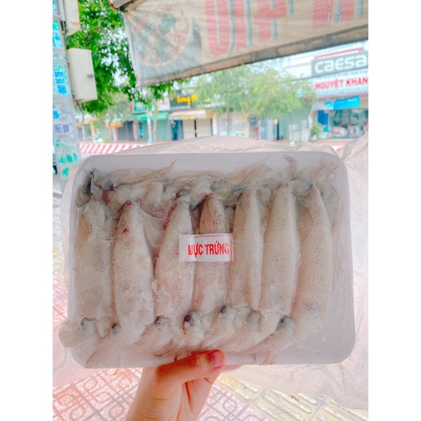 Mực Trứng ( Net 7)
