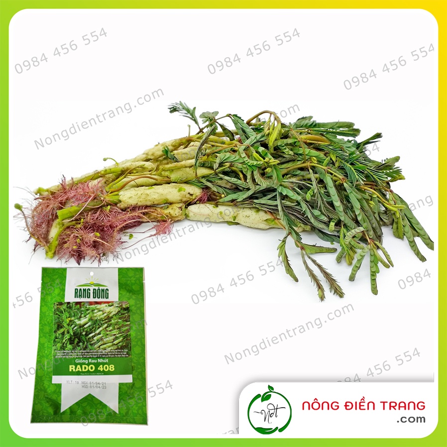 Hạt Giống Rau Nhút Rado 408 - Gói 1g - Rau Rút Dễ Trồng, Sinh Trưởng Khỏe, Năng Suất Cao VTNN Nông Điền Trang