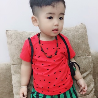 Set bộ dưa hấu kèm túi 120k