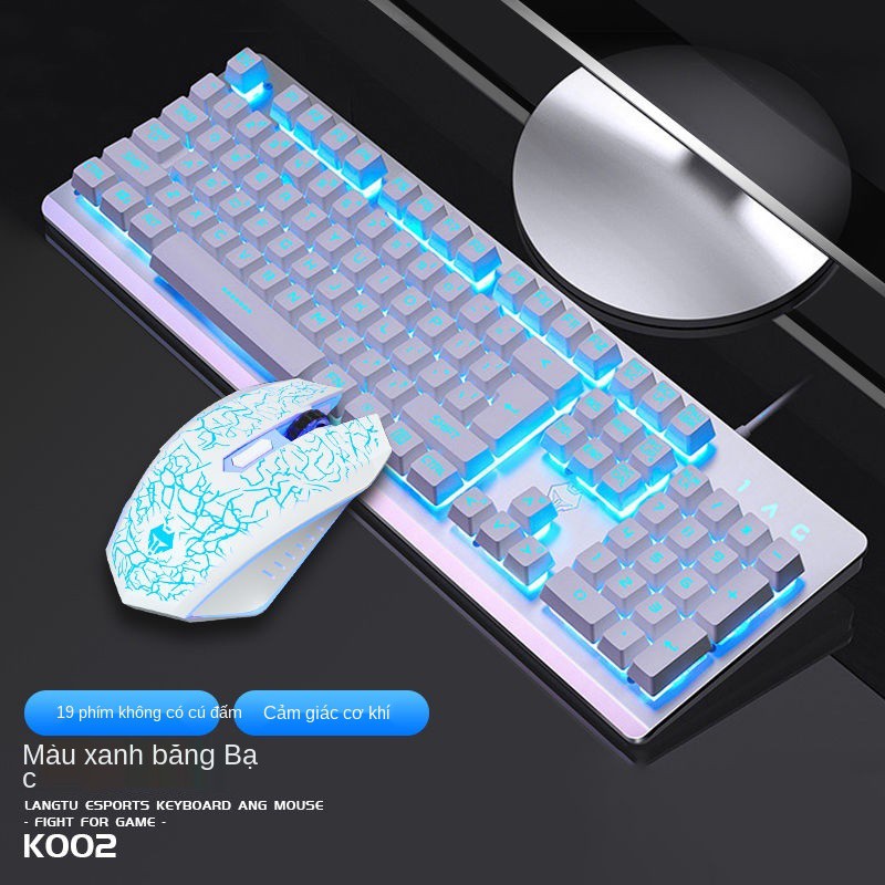 Bộ bàn phím và chuột có dây USB đèn nền máy tính trò chơi gà bên ngoài lol Văn phòng cảm giác robot nhà | BigBuy360 - bigbuy360.vn