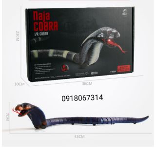 Đồ chơi rắn điều khiển từ xa