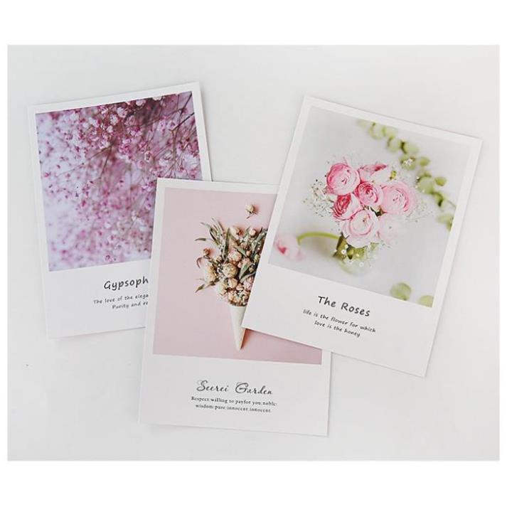 Bìa tạp chí chụp ảnh, Báo Chụp Hình Lookbook Thời Trang Đẹp, Đồ Decor