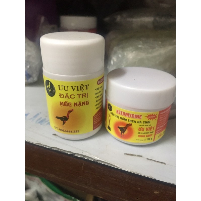 Bôi trị mốc cho gà chọi gà đá ưu việt