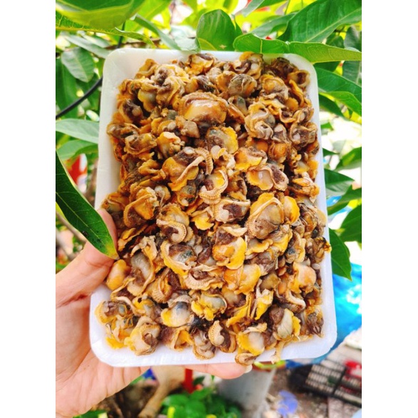 RUỘT SÒ HUYẾT LÀM SẠCH