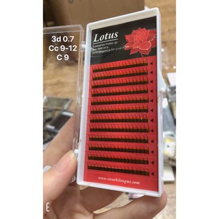 mi cong tự nhiên 3d và 4d diamond