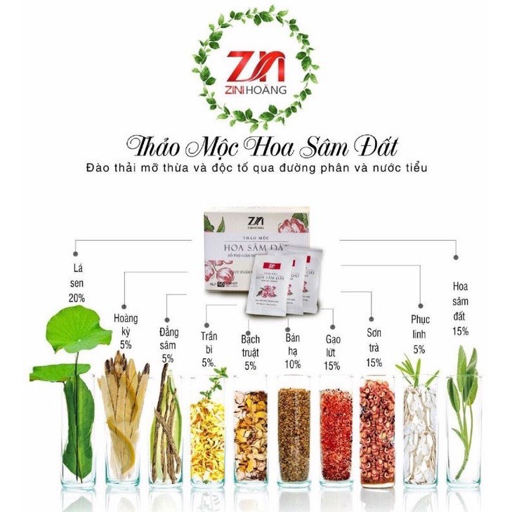 Trà Giảm Cân Hoa Sâm Đất Zn