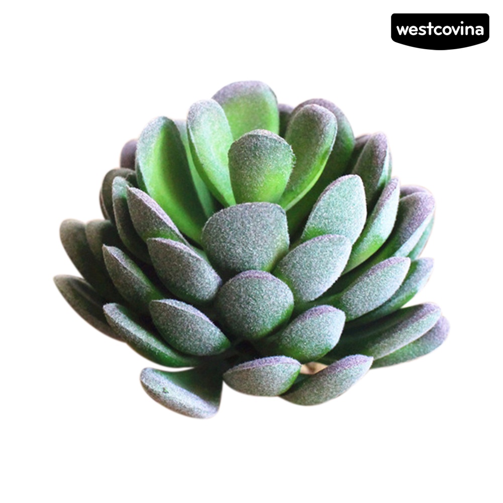 Cây sen đá giả trang trí nhà ở quán cà phê