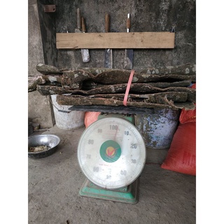 Đỗ trọng tây bắc