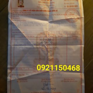Cao hồng sâm đông trùng hạ thảo
