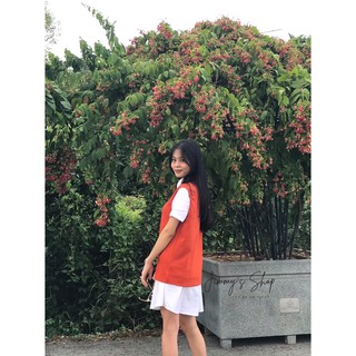 Sét Sơ Mi Giấu Quần Phối Áo Gile Cam - Freesize