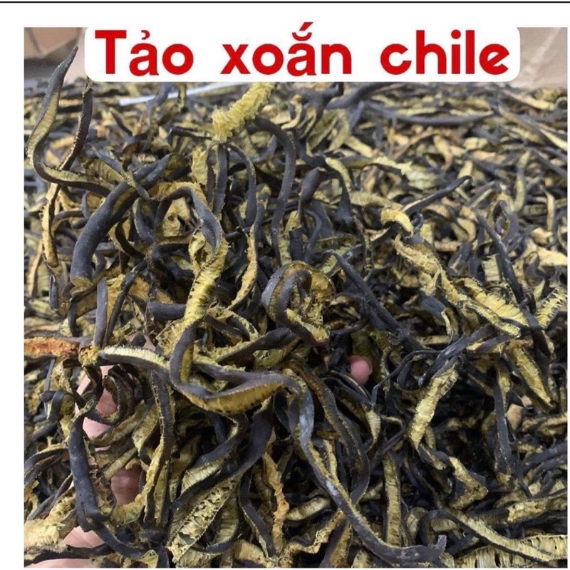RONG BIỂN CHILE 🇨🇱 Xoắn và Ống( 200gr-500gr- 1 kg)