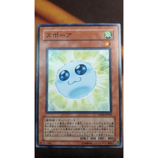 Tshd-jp019 spore - common