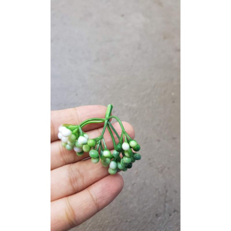 Cỏ điểm 100gram
