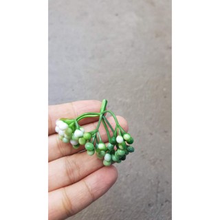 cỏ điểm 100gram