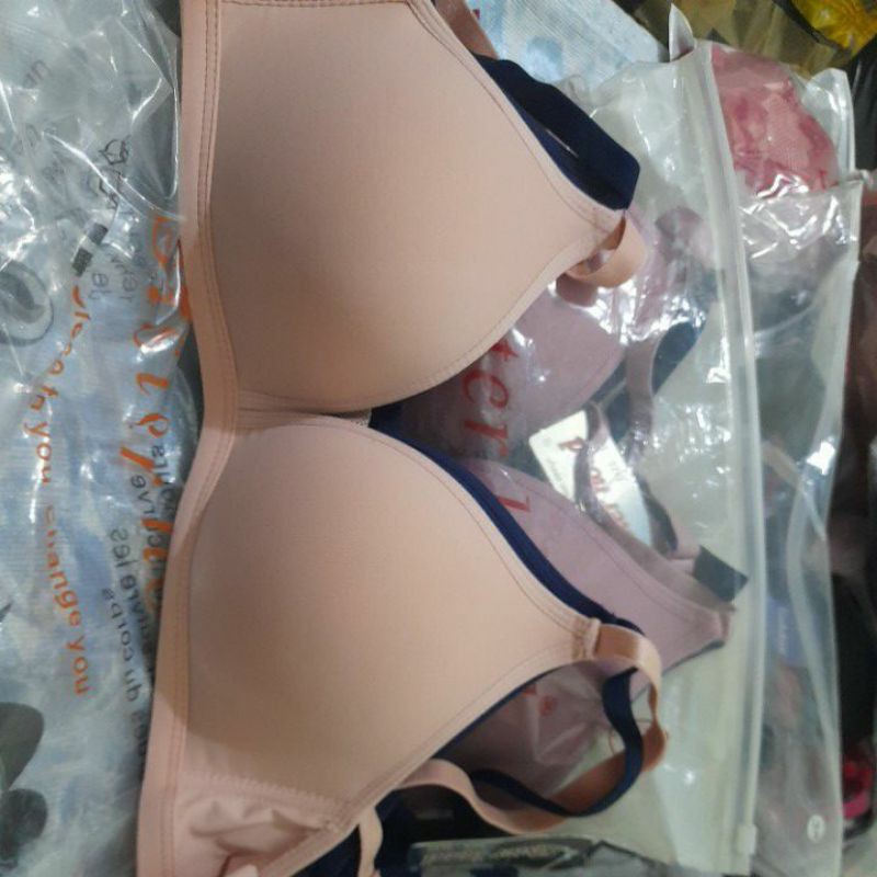 Combo 4 áo ko gọng sisterhood size 34 trắng, da