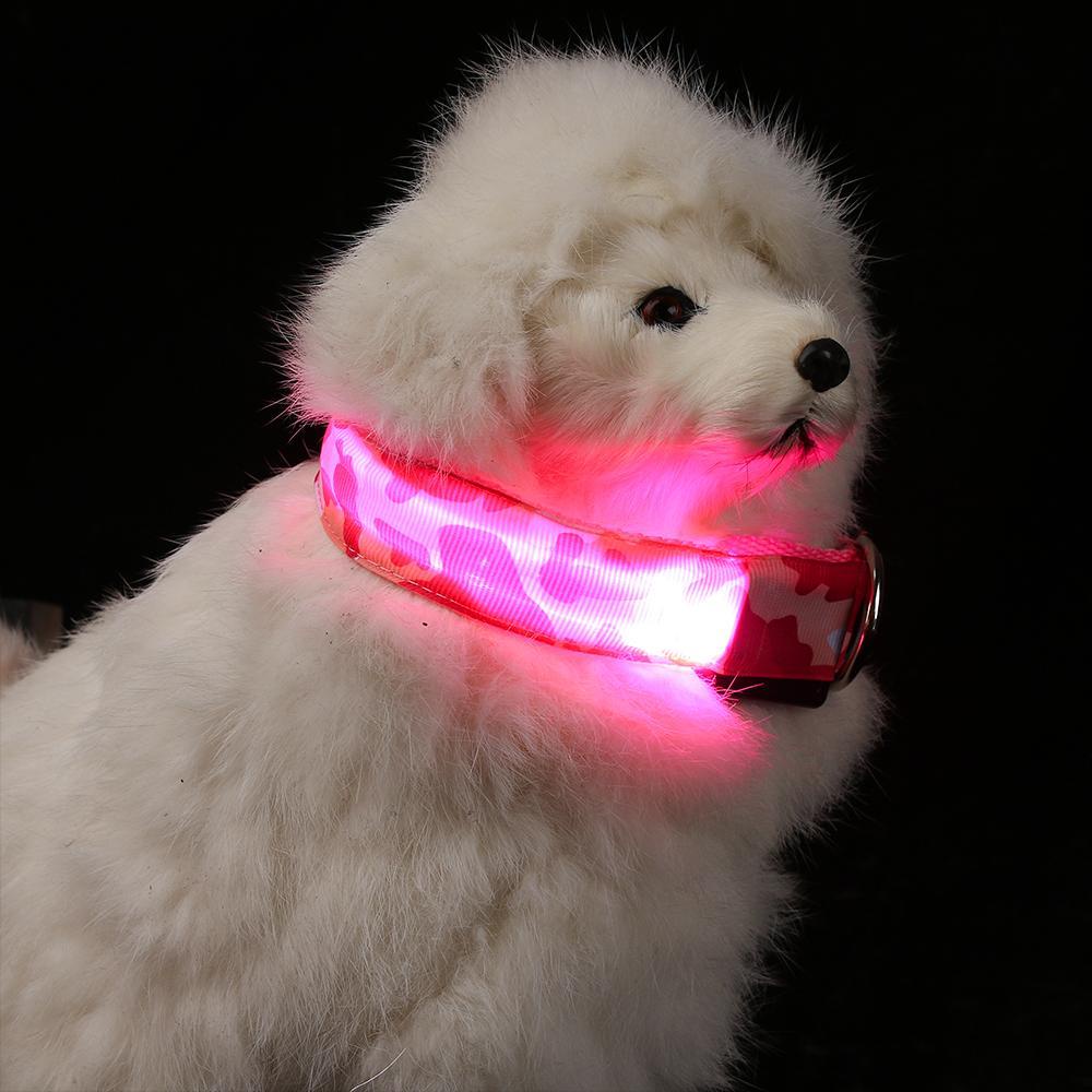 LAYOR1 (MớI) Vòng Cổ GắN ĐèN LED Ban Đêm Cho Thú Cưng